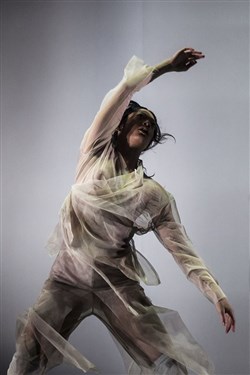 Affiche de Dust | Dancenorth Australia