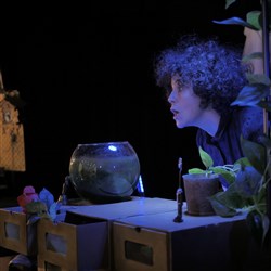 Affiche de Une Chaussure dans le Bocal