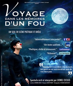 Affiche de Voyage dans les mémoires d'un fou