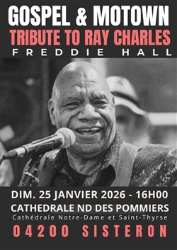 Affiche de Freddie Hall Soul & Gospel : Tribute to Ray Charles
