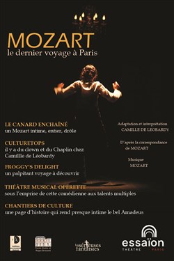 Affiche de Mozart, le dernier voyage à Paris