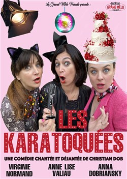 Affiche de Les Karatoquées
