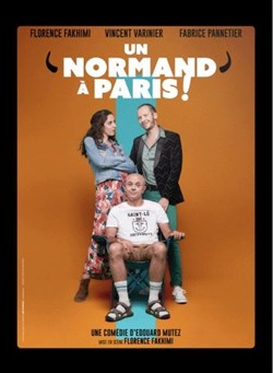 Affiche de Un normand à Paris