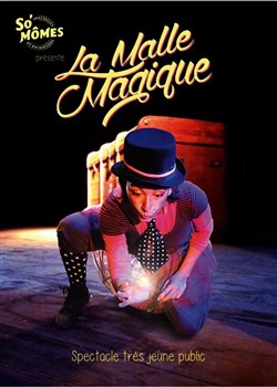 Affiche de La malle magique