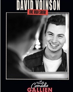 Affiche de David Voinson