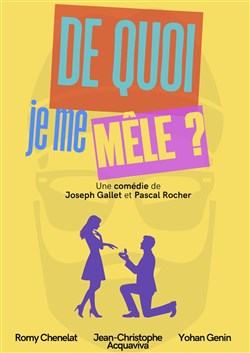 Affiche de De quoi je me mêle ?
