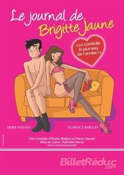 Affiche de Le journal de Brigitte Jaune