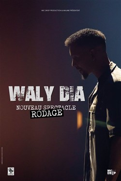 Affiche de Waly Dia : Nouveau spectacle en rodage