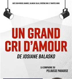 Affiche de Un grand cri d'amour