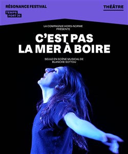 Affiche de C'est pas la mer à boire