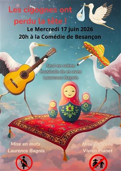 Affiche de Les cigognes ont perdu la tête