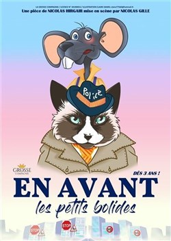 Affiche de En avant les petits bolides