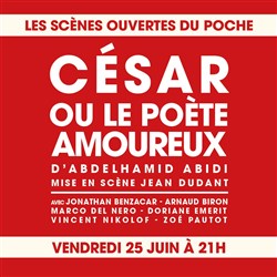 Affiche de César ou le poète amoureux