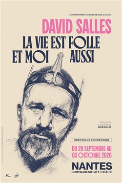 Affiche de David Salles dans La vie est folle et moi aussi