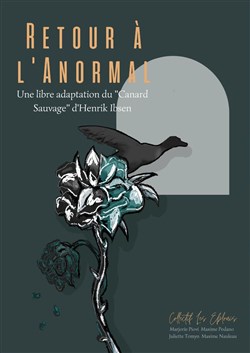 Affiche de Retour à l'anormal
