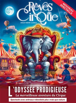 Affiche de Rêves de Cirque dans L'Odyssée Prodigieuse | Montpellier