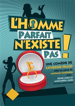 Affiche de L'homme parfait n'existe pas !