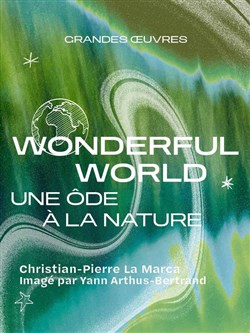 Affiche de Wonderful world
