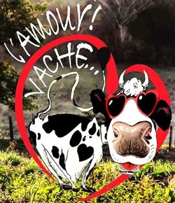 Affiche de L'amour vache