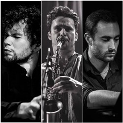 Affiche de Charley Rose Trio Conatus