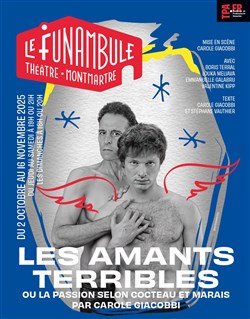 Affiche de Les amants terribles
