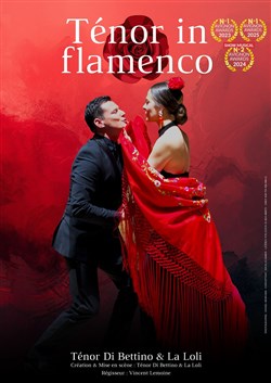 Affiche de Ténor in flamenco