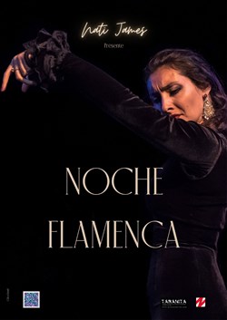 Affiche de Noche Flamenca Nati James