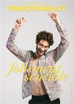 Affiche de François Mallet dans Follement Sensible