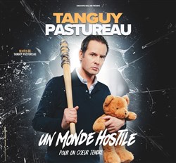 Affiche de Tanguy Pastureau dans Un monde hostile