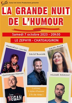 Affiche de La Grande Nuit de l'Humour | Châteaugrion
