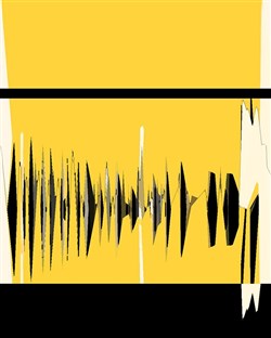 Affiche de Exposition Bernard Pourrière : Collages sonores