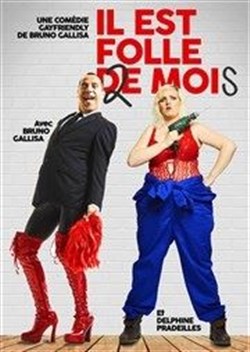 Affiche de Il est folle 2 moi