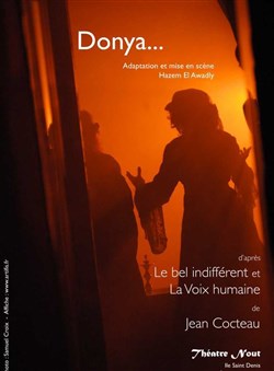 Affiche de Le bel indifférent
