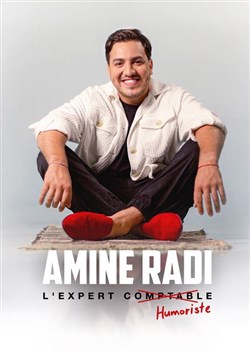 Affiche de Amine Radi dans L'expert humoriste