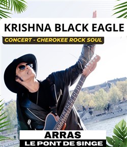 Affiche de Krishna Black Eagle