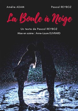 Affiche de La boule à neige