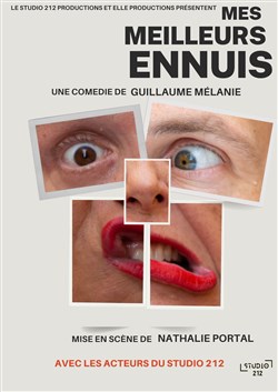 Affiche de Mes meilleurs ennuis