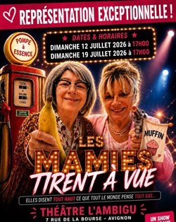 Affiche de Les mamies tirent à vue