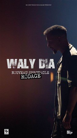 Affiche de Waly Dia dans Freestyle vol. 3