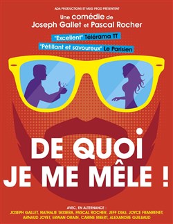 Affiche de De quoi je me mêle !