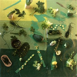 Affiche de Vert