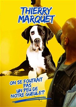 Affiche de Thierry Marquet dans On se foutrait pas un peu de notre gueule ?