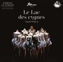 Affiche de Le lac des cygnes | Un dimanche à l'opéra
