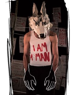 Affiche de White dog