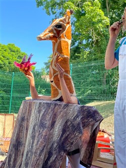 Affiche de Voyage au pays des oiseaux