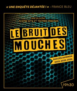 Affiche de Le Bruit des Mouches