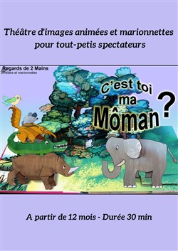 Affiche de Dis...c'est toi ma môman?