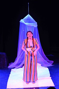 Affiche de Les émotions de Cendrillon