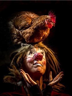 Affiche de Être Vivant : Paroles des oiseaux de la terre