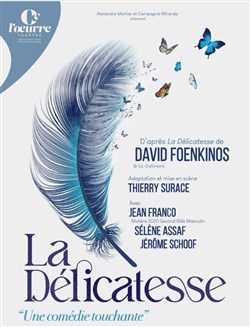 Affiche de La Délicatesse